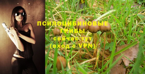 спайс Наволоки