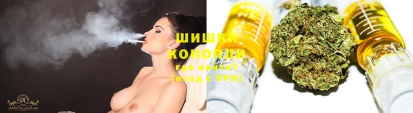 дмт Михайловск
